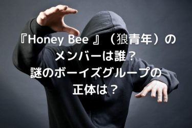 『Honey Bee 』（狼青年）のメンバーは誰？謎のボーイズグループの正体は？